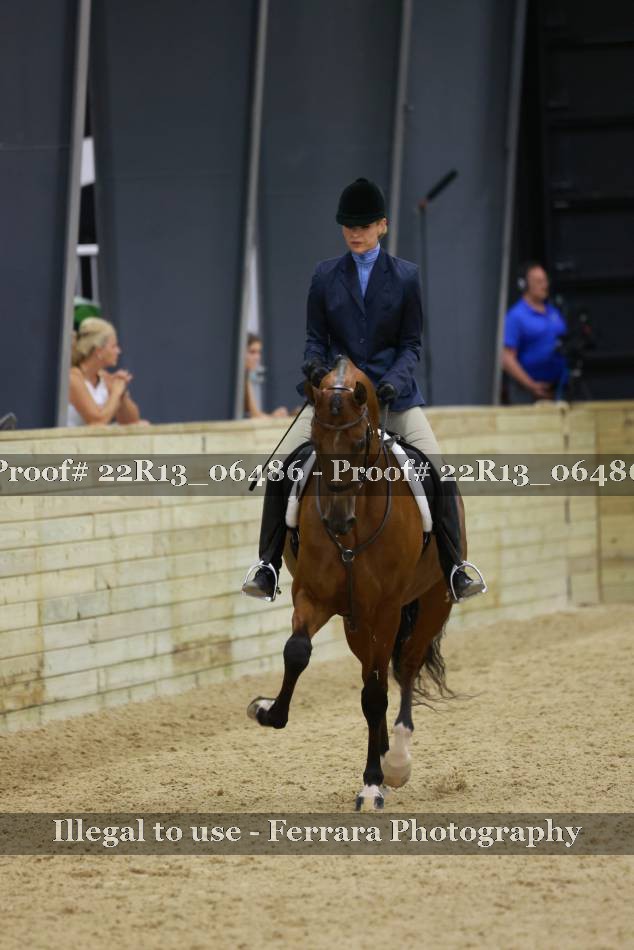 Proof 22R13_06486