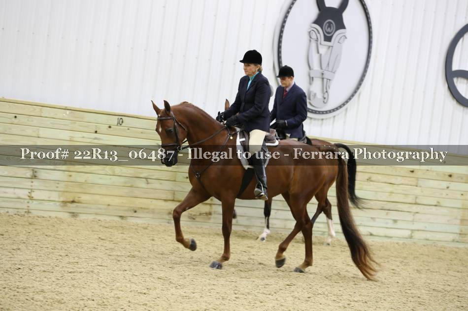 Proof 22R13_06487