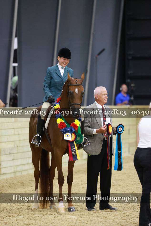Proof 22R13_06491