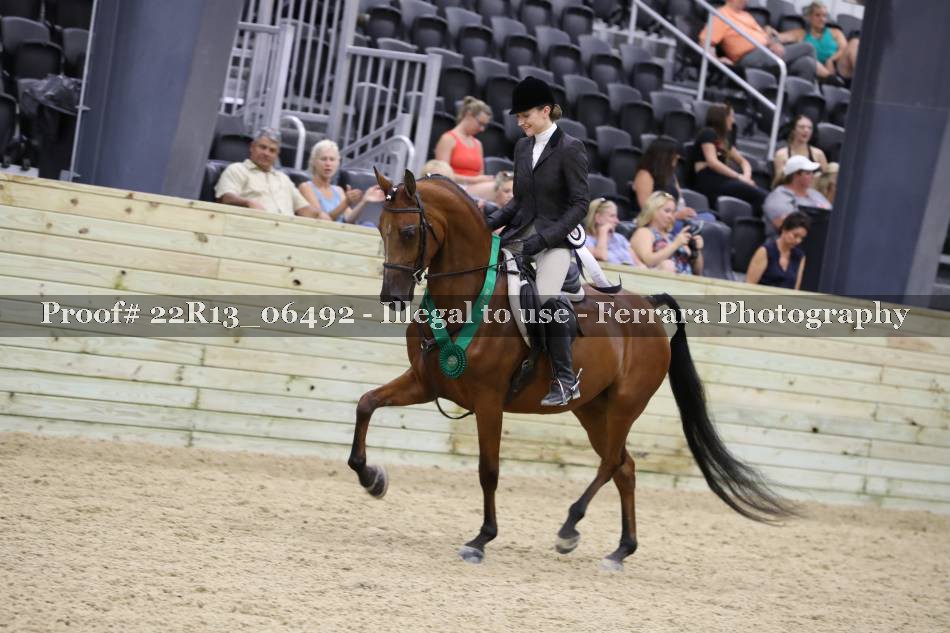 Proof 22R13_06492