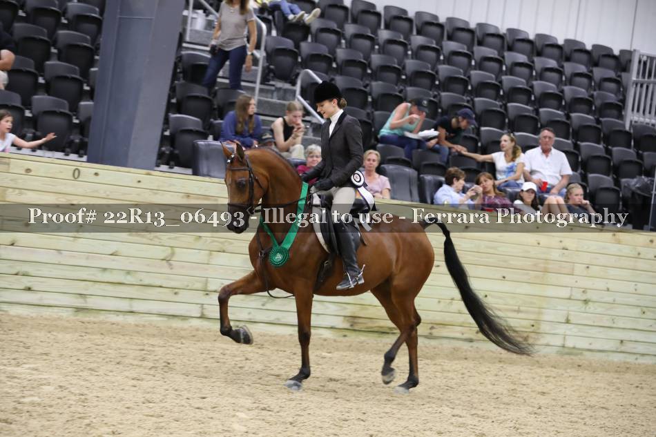 Proof 22R13_06493