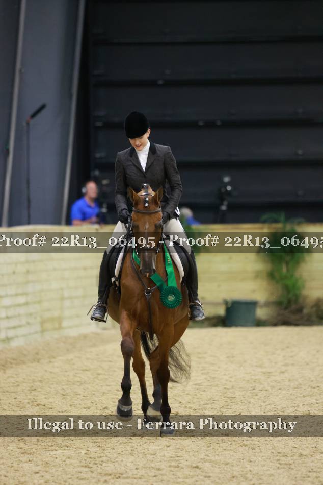 Proof 22R13_06495