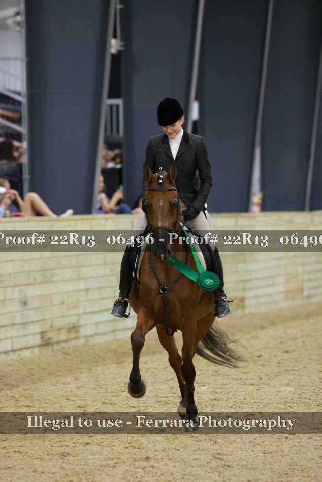 Proof 22R13_06496