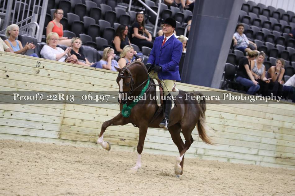 Proof 22R13_06497