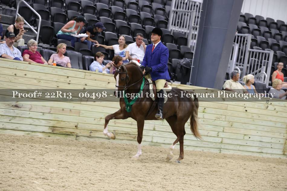 Proof 22R13_06498