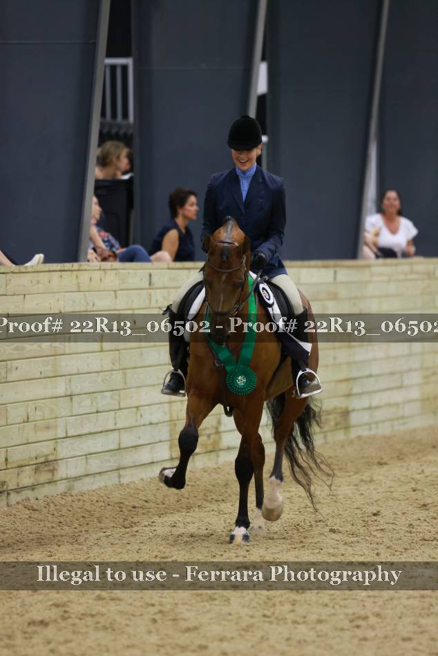 Proof 22R13_06502