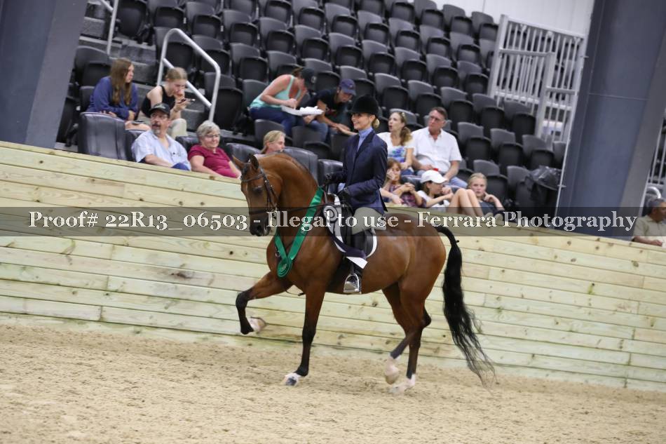 Proof 22R13_06503