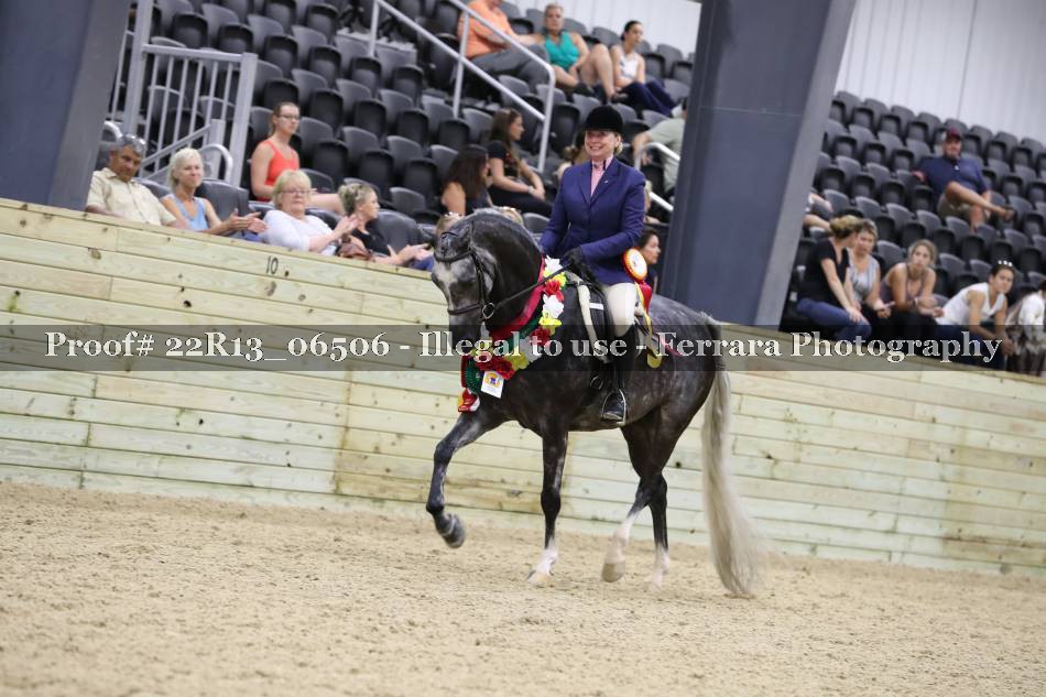 Proof 22R13_06506