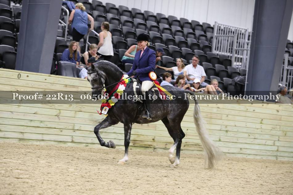 Proof 22R13_06508