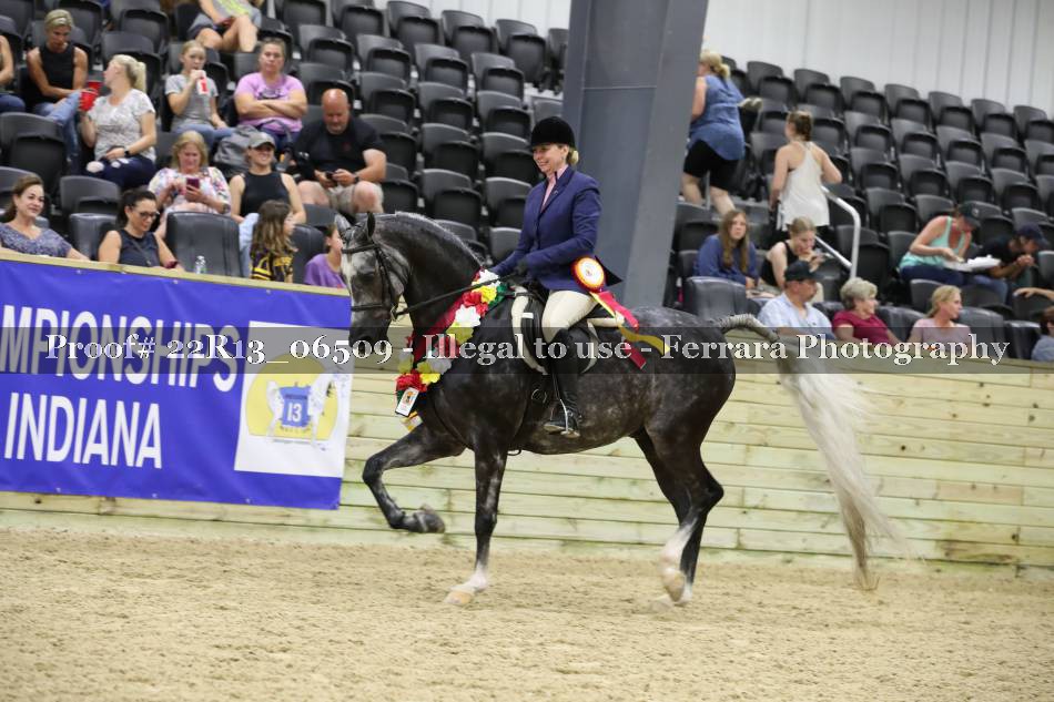 Proof 22R13_06509