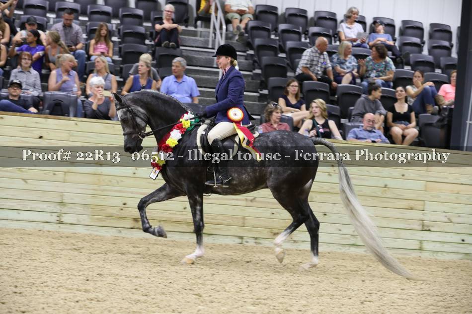 Proof 22R13_06512