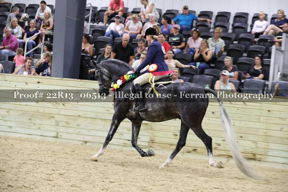 Proof 22R13_06513