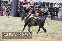 22R13_06513 proof