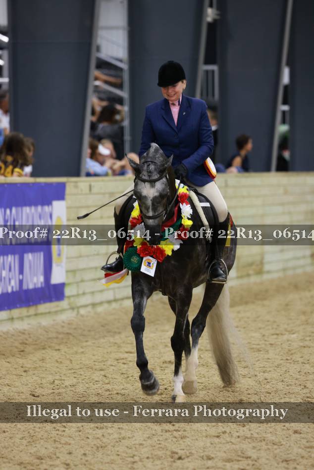 Proof 22R13_06514