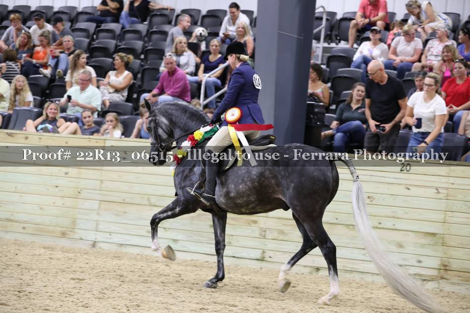Proof 22R13_06515