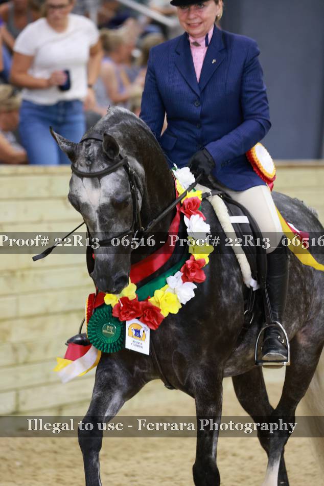 Proof 22R13_06516