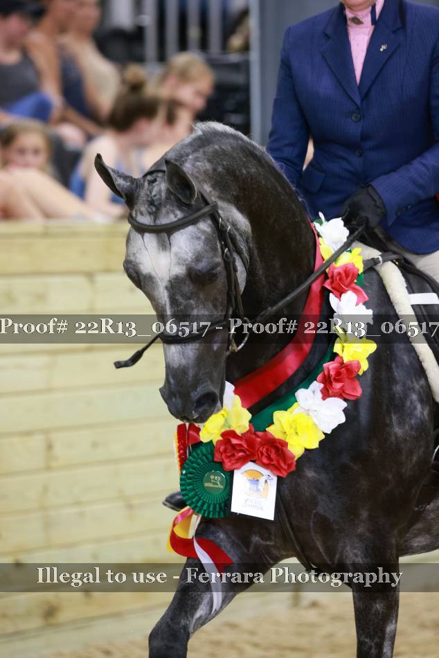 Proof 22R13_06517