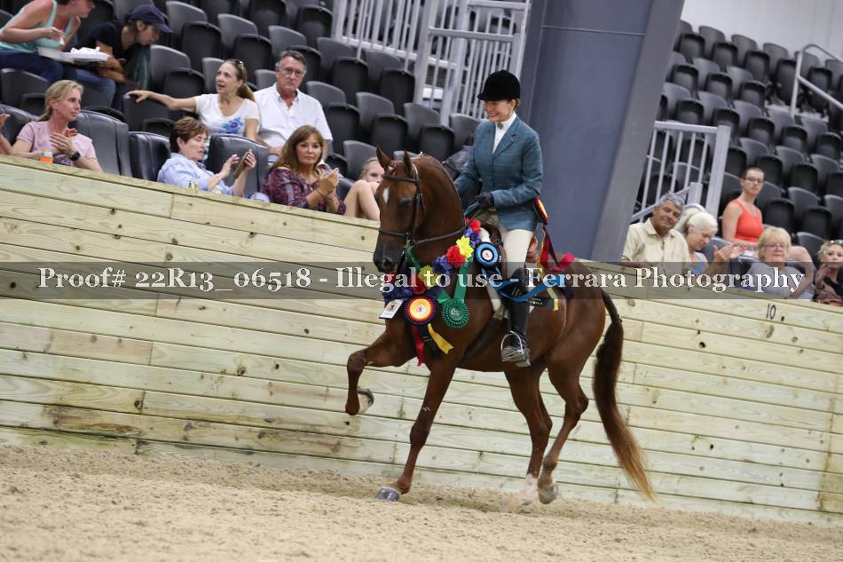 Proof 22R13_06518