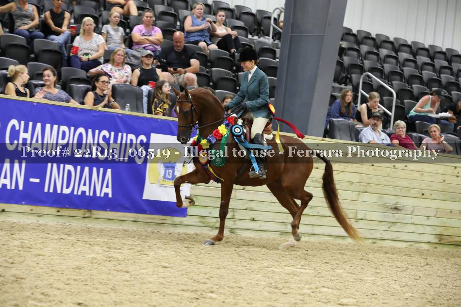 Proof 22R13_06519