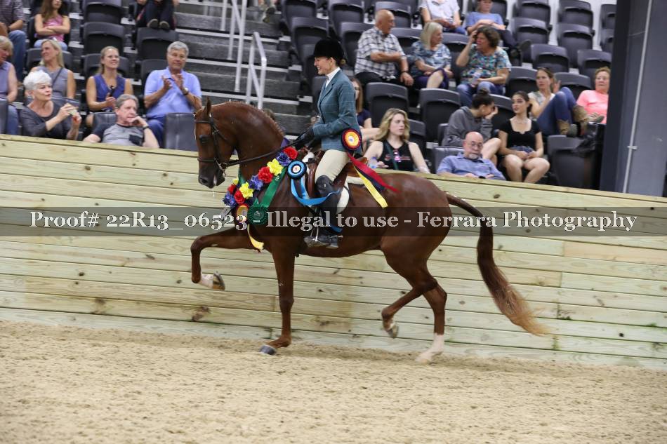Proof 22R13_06523