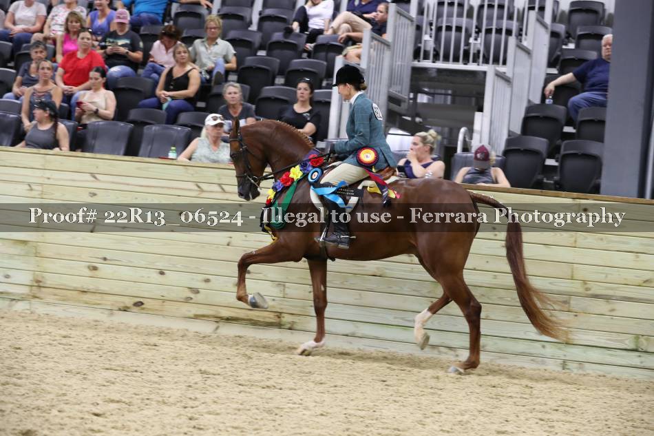 Proof 22R13_06524