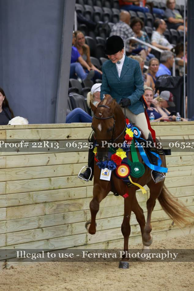 Proof 22R13_06525