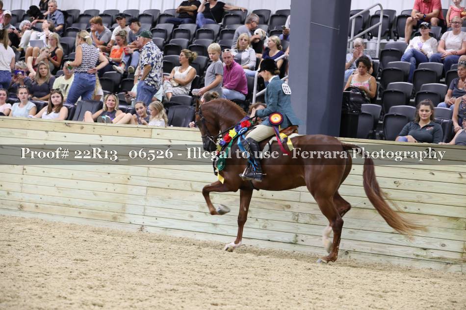 Proof 22R13_06526