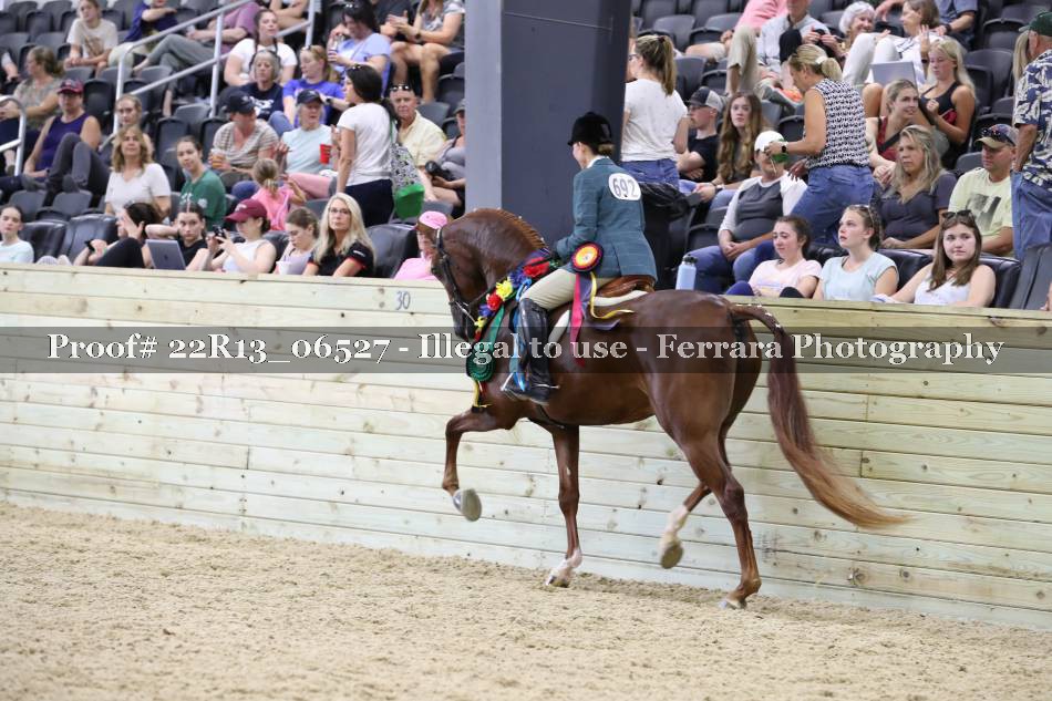 Proof 22R13_06527