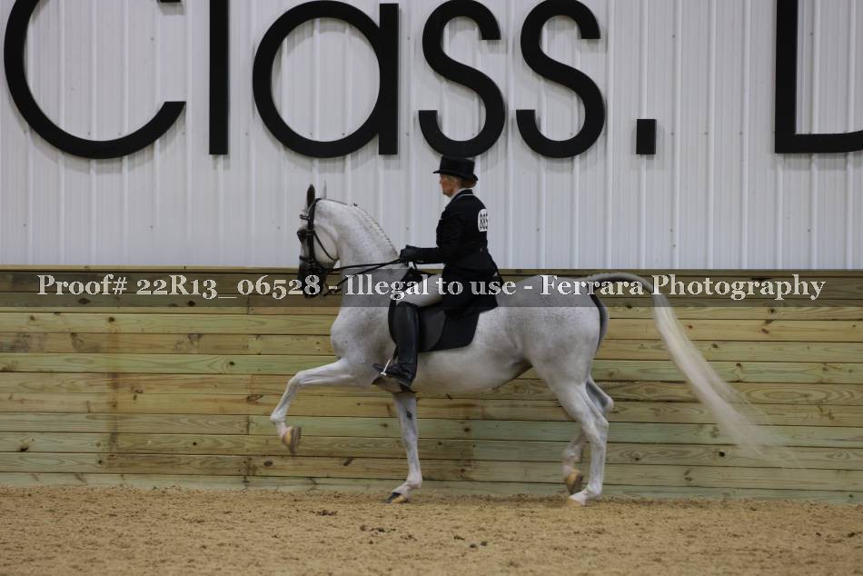 Proof 22R13_06528