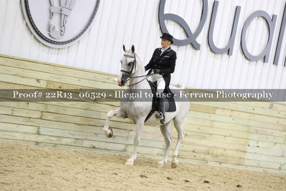 Proof 22R13_06529