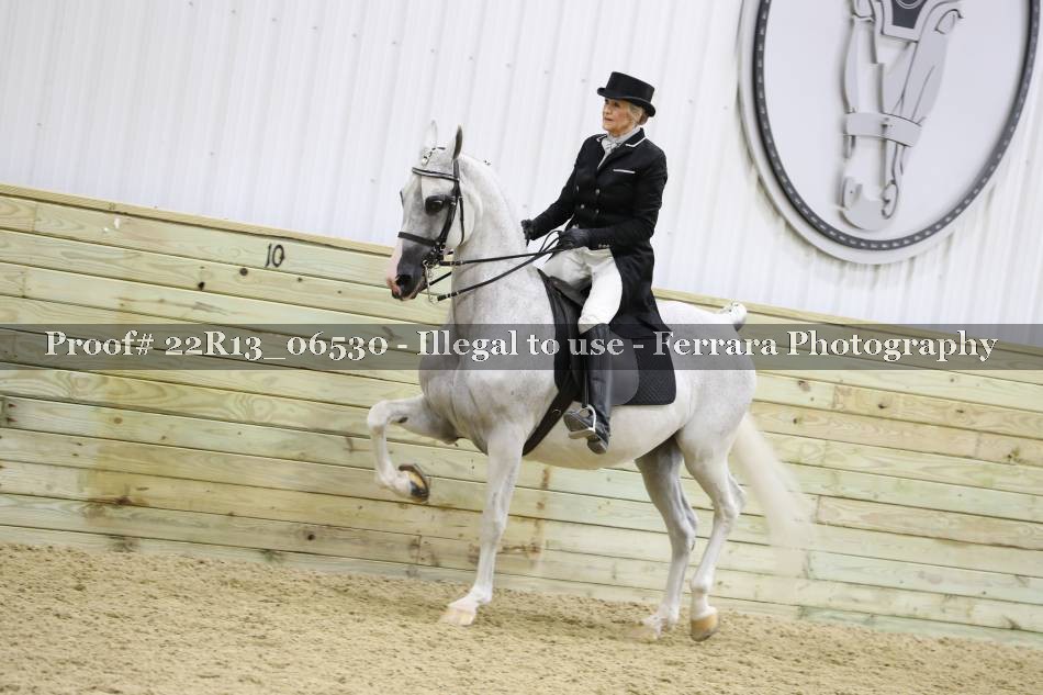 Proof 22R13_06530