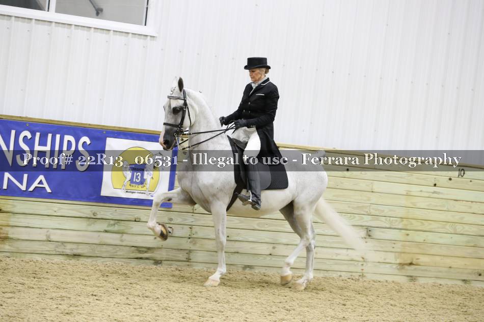 Proof 22R13_06531