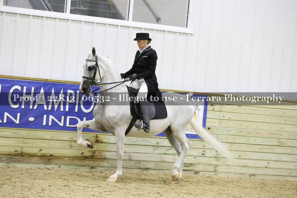 Proof 22R13_06532