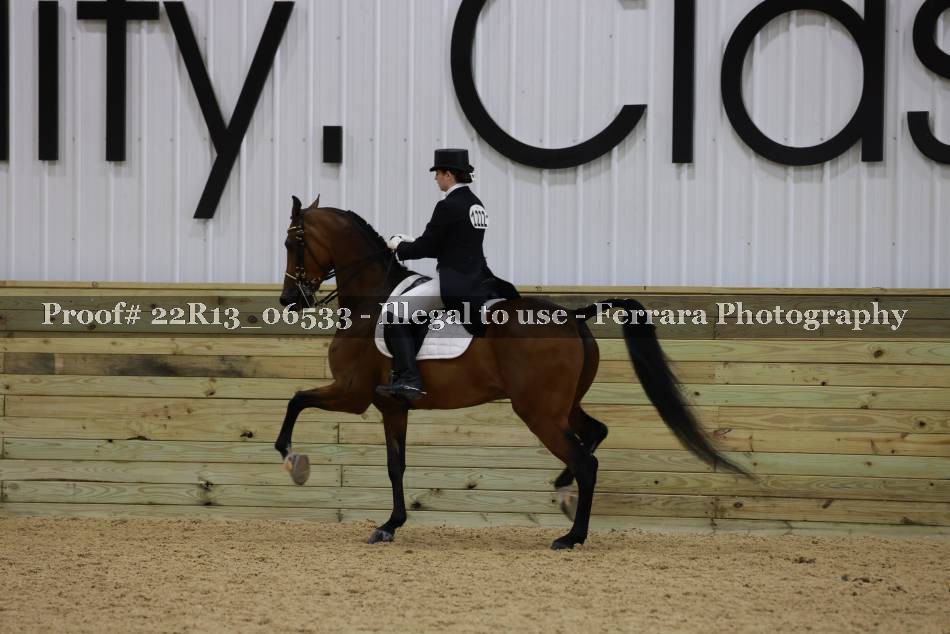 Proof 22R13_06533