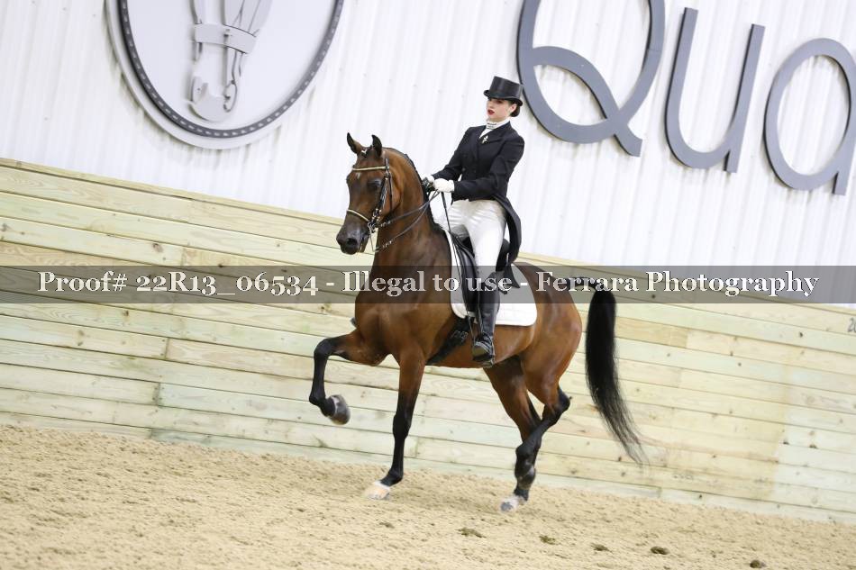Proof 22R13_06534