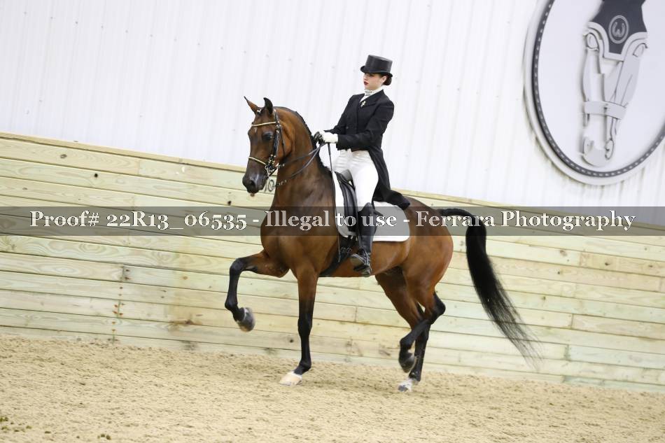 Proof 22R13_06535
