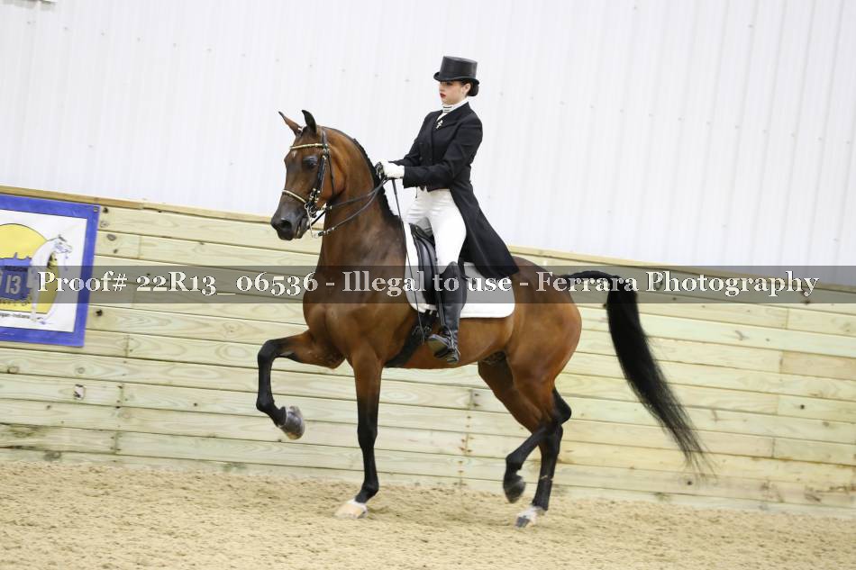 Proof 22R13_06536