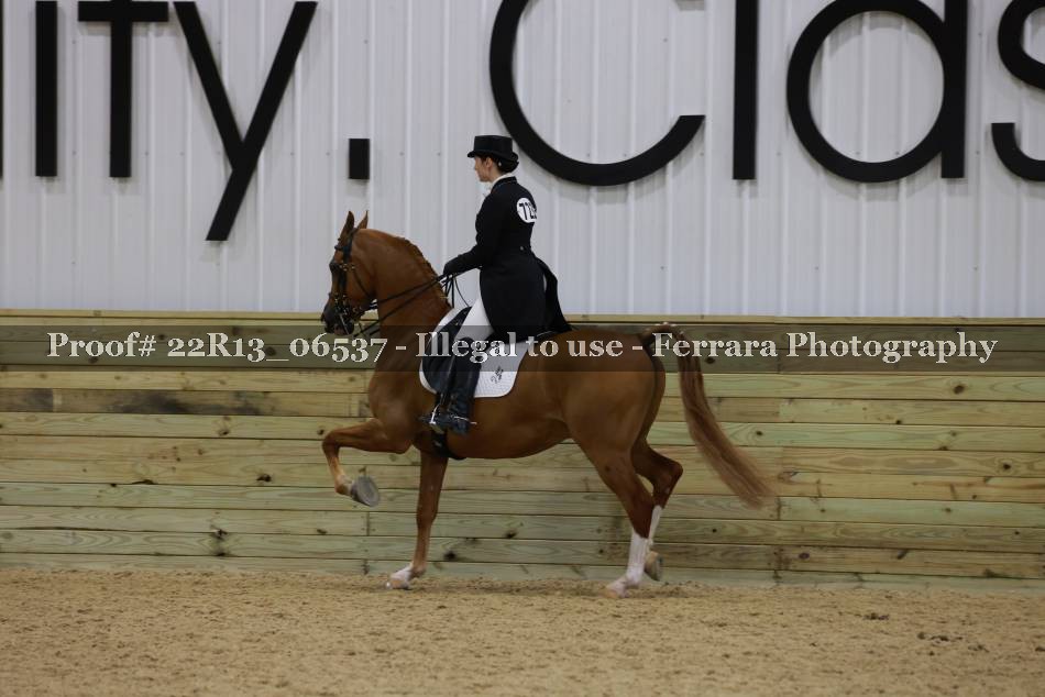 Proof 22R13_06537