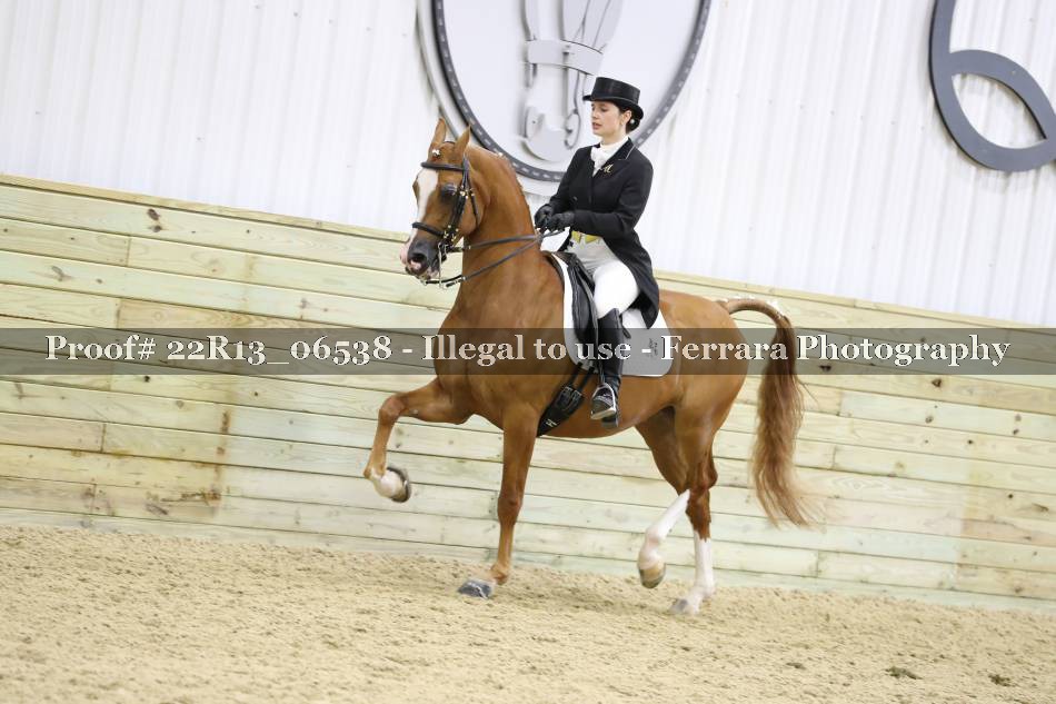Proof 22R13_06538