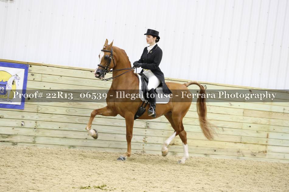Proof 22R13_06539