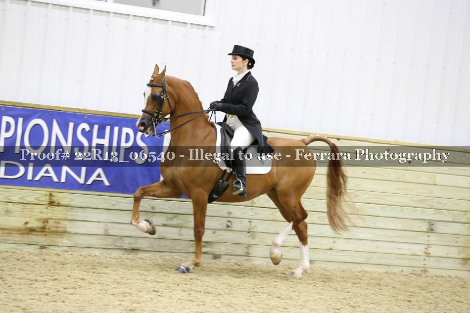 Proof 22R13_06540