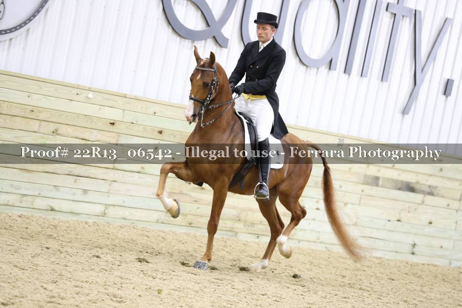 Proof 22R13_06542