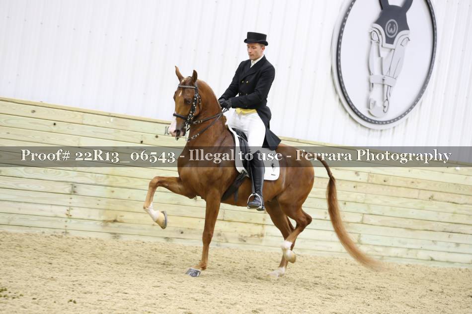 Proof 22R13_06543