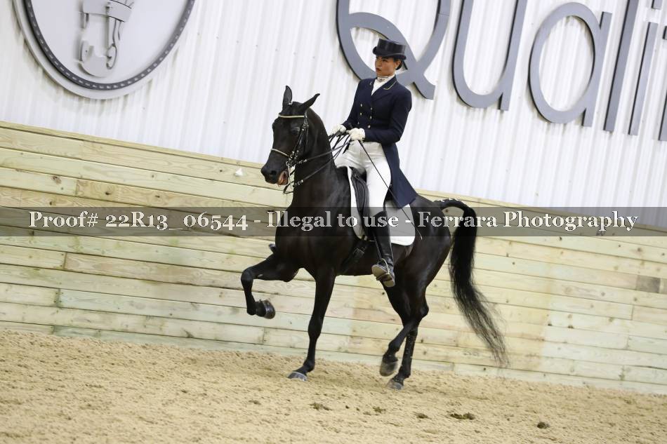 Proof 22R13_06544
