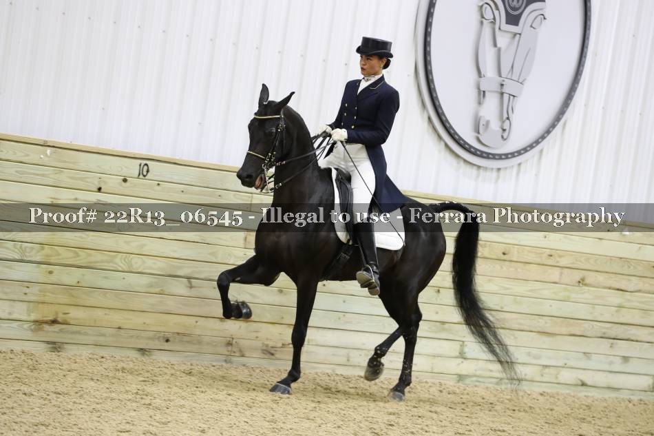 Proof 22R13_06545