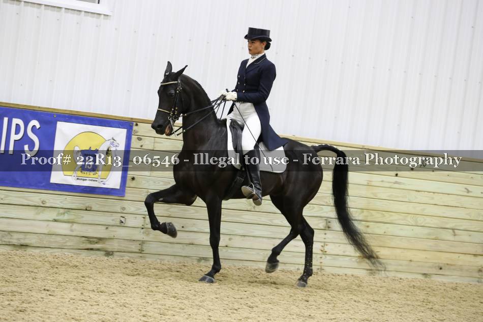 Proof 22R13_06546