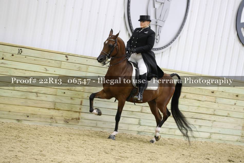 Proof 22R13_06547