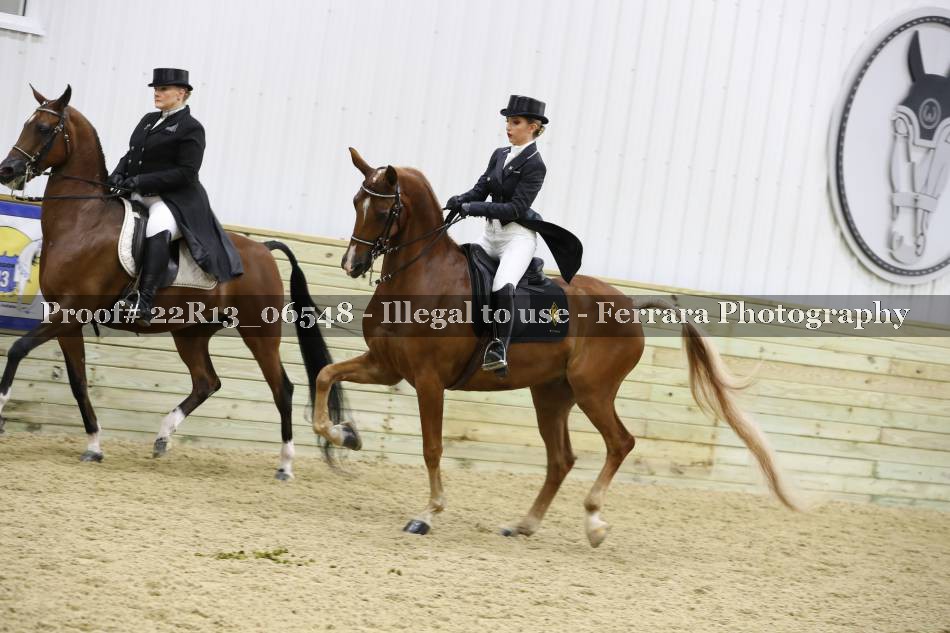 Proof 22R13_06548