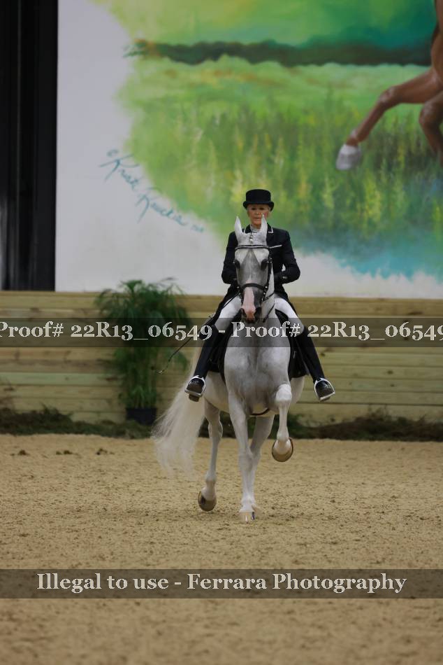 Proof 22R13_06549