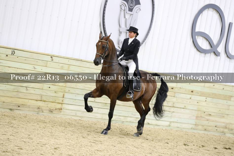 Proof 22R13_06550